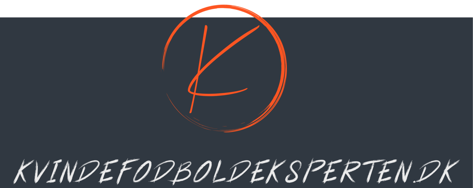 Kvindefodboldeksperten